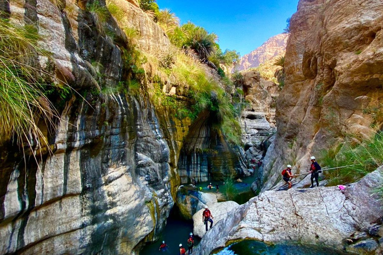 Muscat: Wadi Tiwi, Mibam, Frankincense Tree & Beach Tour