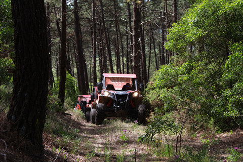 Nazaré : Excursion en 4x4 avec guideCircuit en buggy à Pinhal