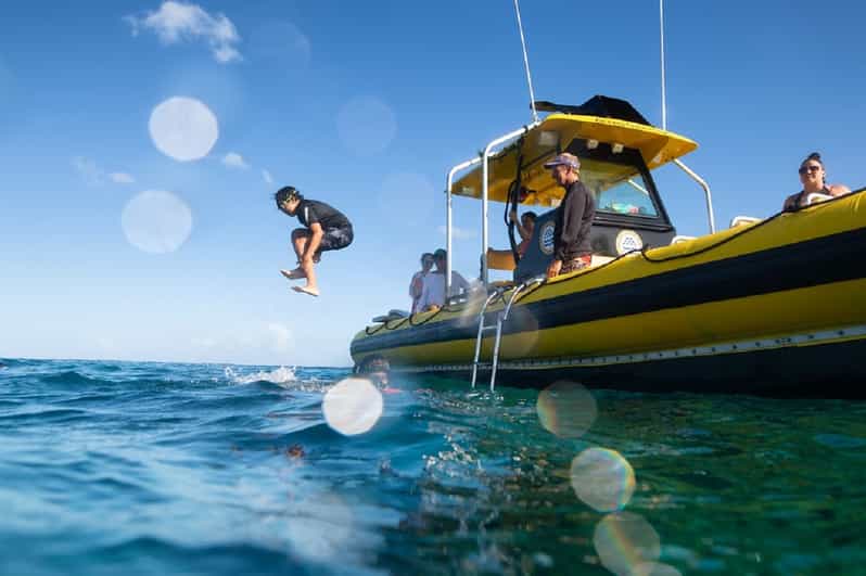Oahu North Shore Snorkeling Tour from Haleiwa GetYourGuide