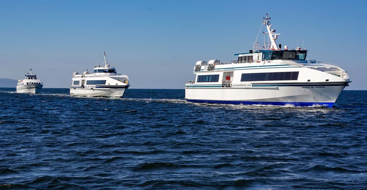 Galway 2021 Top 10 Tours & Activities (with Photos) Things to Do in