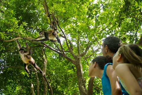 Riviera Maya: tour interattivo dello zoo di Croco CunBiglietto d&#039;ingresso generale