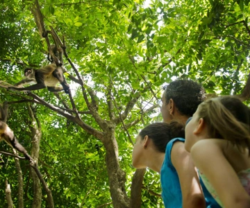 Riviera Maya: Croco Cun Interactive Zoo Tour
