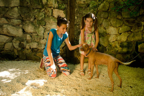 Riviera Maya: Croco Cun Interaktive ZootourEintrittskarte für mexikanische Staatsbürger