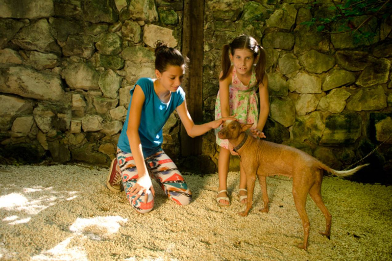 Riviera Maya: tour interattivo dello zoo di Croco CunBiglietto d&#039;ingresso generale