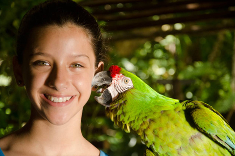 Riviera Maya: Croco Cun Interactive Zoo TourEntrébiljett för mexikanska invånare