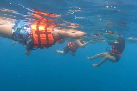 Punta Cana: tour di snorkeling all&#039;isola Catalina con pranzo