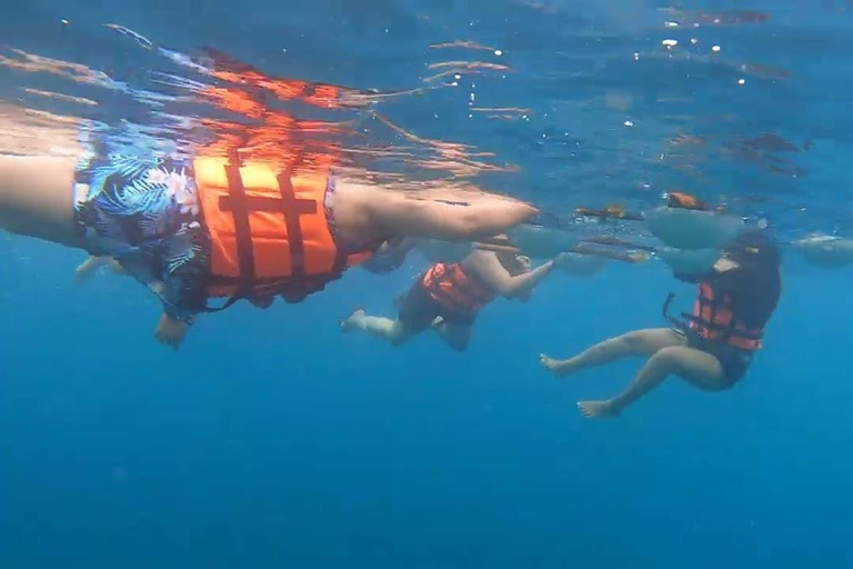 Punta Cana: tour di snorkeling all&#039;isola Catalina con pranzo