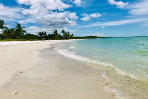 Marco Island: Guided Dolphin Tour with Beach Stop