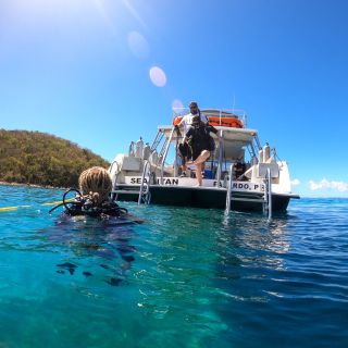 Fajardo: 2-Tank Reef Dive Excursion for Certified Divers