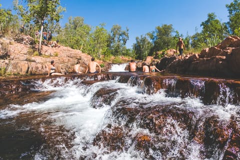 From Darwin: Litchfield National Park Full Day Tour