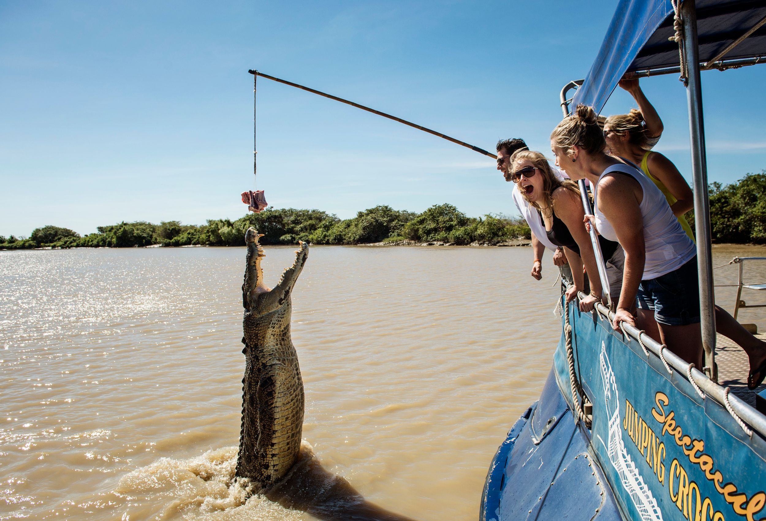 Darwin: Flussfahrt mit springenden Krokodilen und Shuttlebus