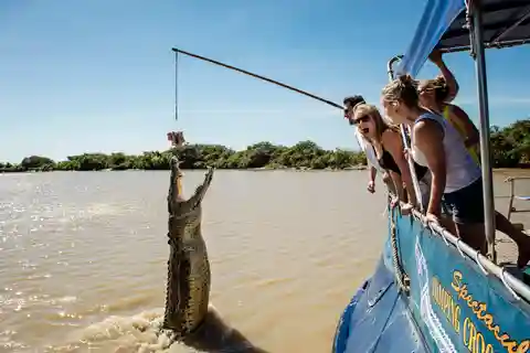 Darwin: Jumping Crocodile Cruise