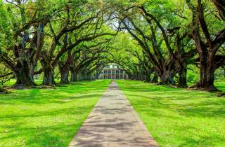 Plantagen von Louisiana: Halbtagestour aufs Land