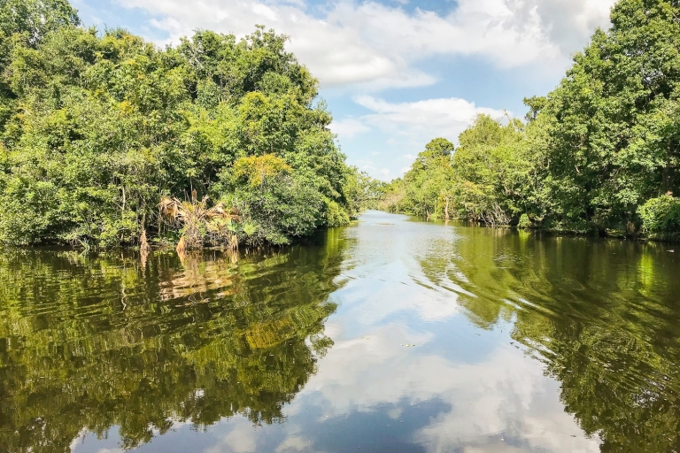 New Orleans: Manchac Bayou Swamp Cruise with Optional Pickup 1.5-Hour Bayou Swamp Cruise with Hotel Pickup