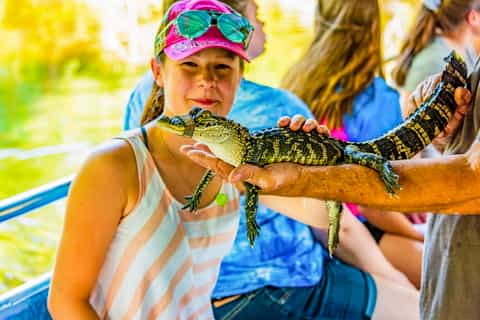 New Orleans: Oak Alley Plantation & Swamp Cruise Day Trip