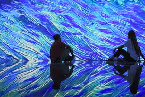 Dubai: "Being Van Gogh" Digital Art Show