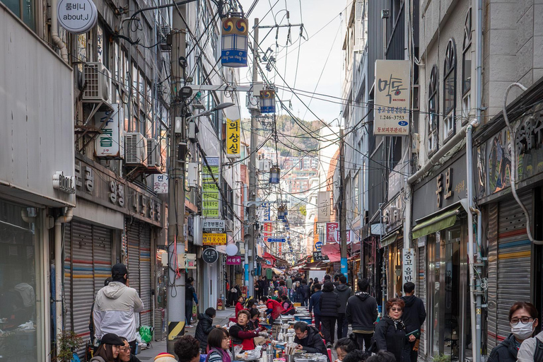 Busan: Kimchi Kitchens Food Tour with 10+ Tastings