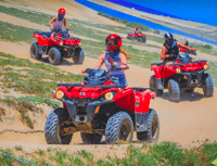 CACTUS TOURS PARKによるCaboでのMigrino Beach＆DesertATVツアー - Housity