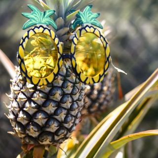 Maui: Pineapple Tour