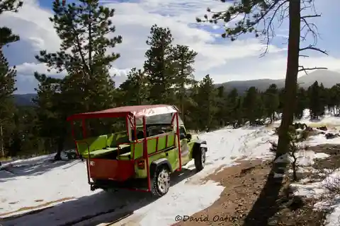 Estes Park: Rocky Mountain National Park Safari Tour