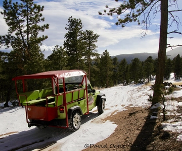Estes Park: Rocky Mountain National Park Safari Tour