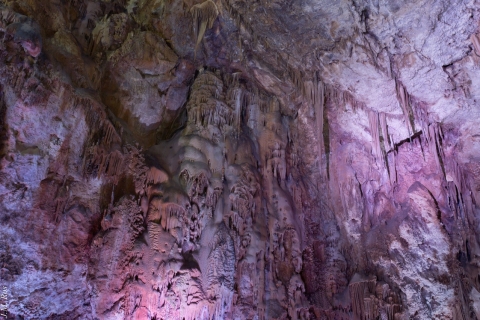 Alicante: Canelobre Höhlentour mit Transport