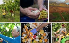 Lahaina: Maui Ku'ia Estate Guided Cacao Farm Tour & Tasting