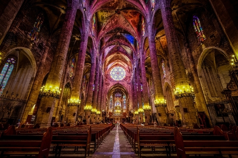 Palma de Mallorca: Stadsrondleiding met de kathedraalPalma de Mallorca: stadswandeling met de kathedraal