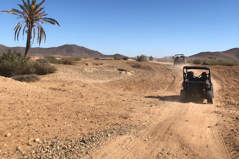 Marrakech: Buggy Experience på Palmeraie med upphämtning på hotellet