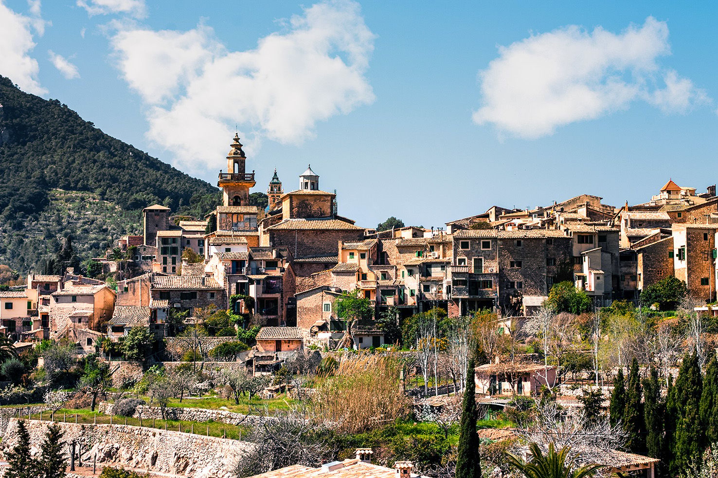 Palma, Catedral y Valldemossa: tour a pie guiado