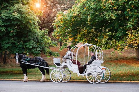 Victoria Carriage Tour: By The Park