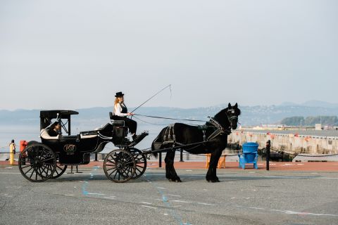 Victoria: Carriage Tour By The Victorians