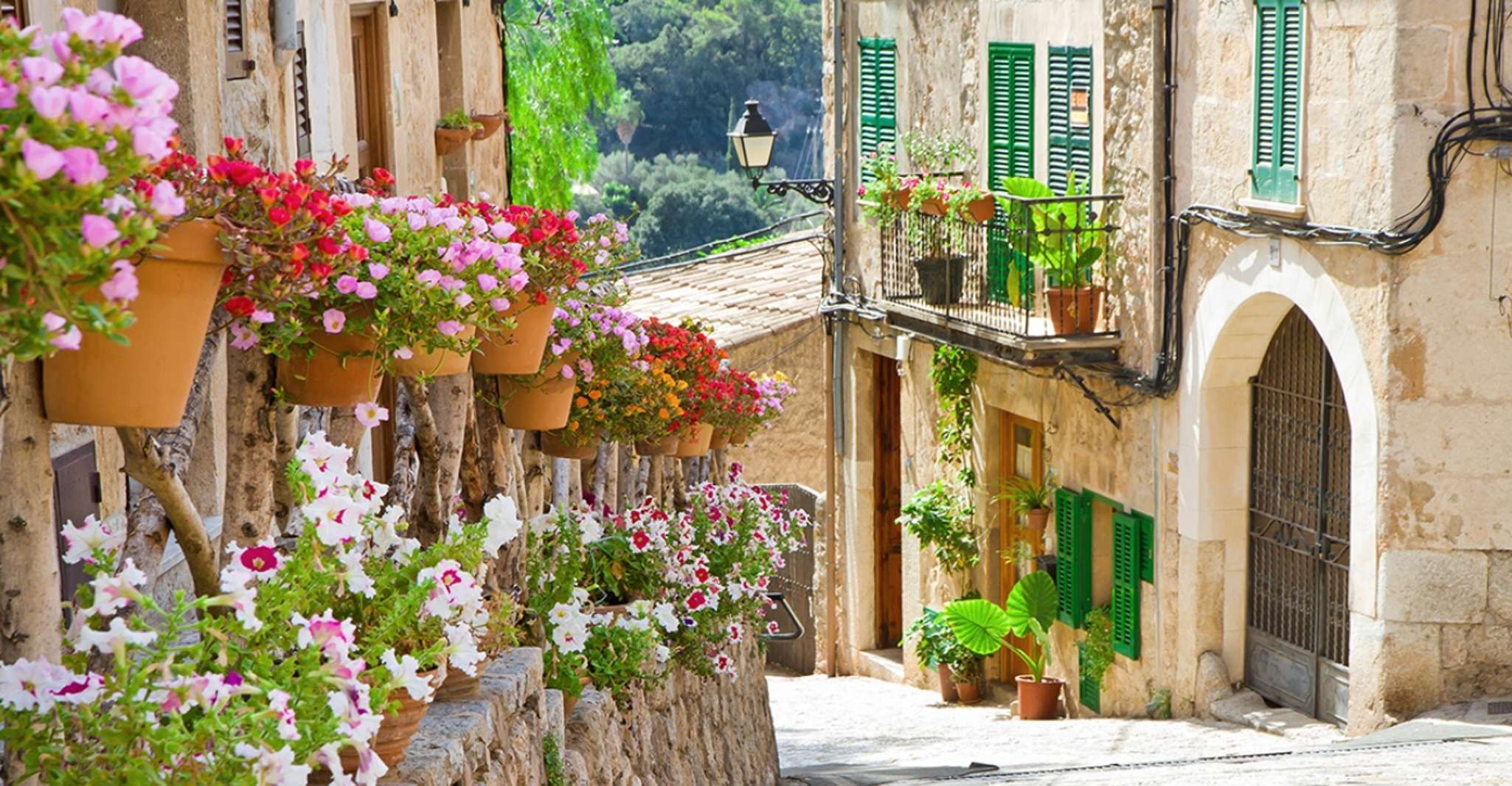 Palma de Mallorca, Palma y Valldemossa tiempo libre - Hizvo