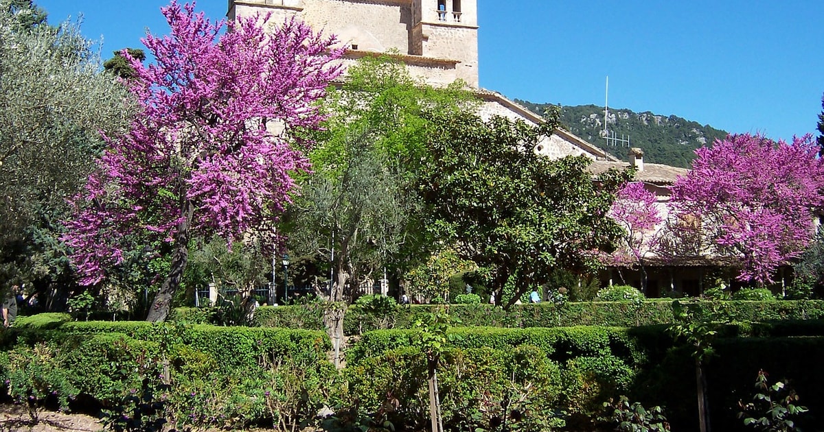 Palma de Mallorca Palma und Valldemossa freie Zeit GetYourGuide