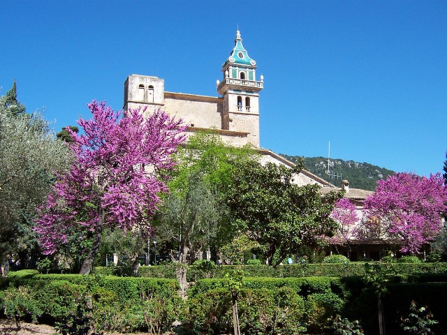 Visit Palma de Mallorca Palma and Valldemossa free time in Cala d'Or