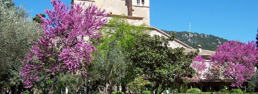 Palma de Majorque : Temps libre à Palma et Valldemossa