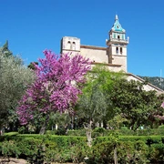 Palma de Mallorca: Palma und Valldemossa freie Zeit