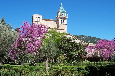 Palma de Mallorca: Palma i Valldemossa czas wolnyZ odbiorem w obszarze północnym