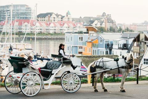 Victoria: tour in carrozza trainata da cavalli