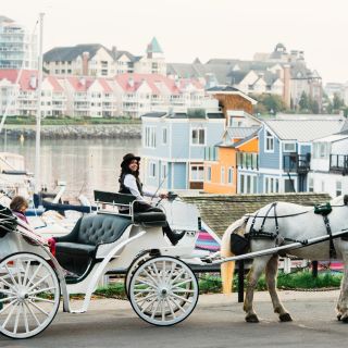 Victoria: Tour by Horse Drawn Carriage
