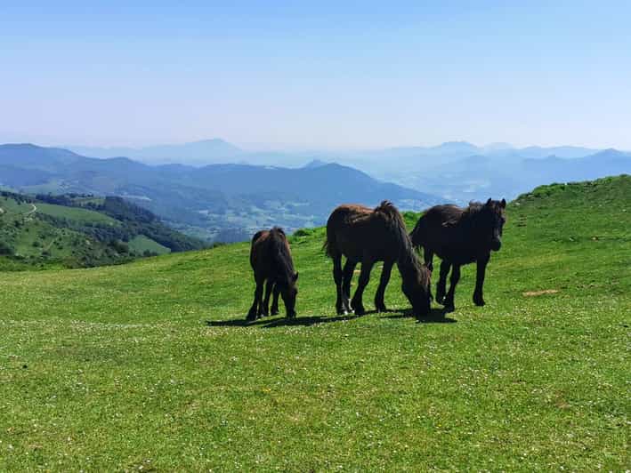 Basque Country: Mountains, Ocean, & Sanctuary of Loyola Trip | GetYourGuide
