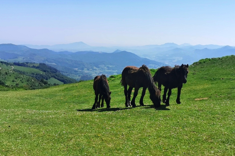 Basque Country: Mountains, Ocean, & Sanctuary of Loyola Trip
