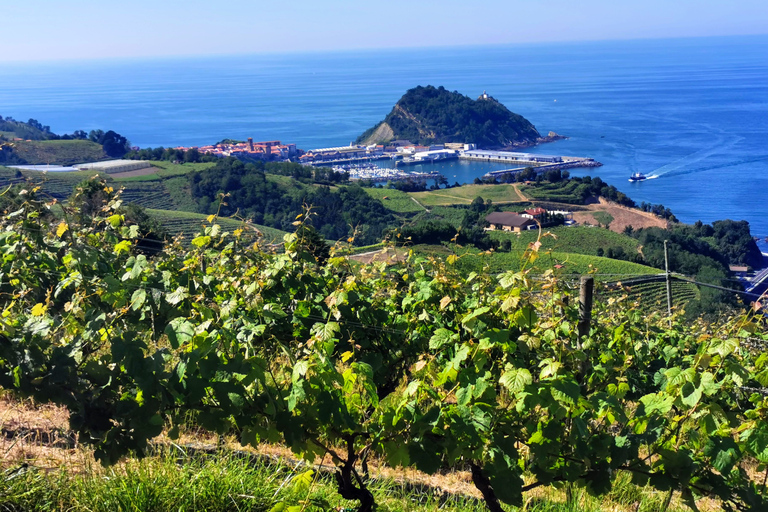 Pays Basque : excursion montagnes, océan et sanctuaire de Loyola