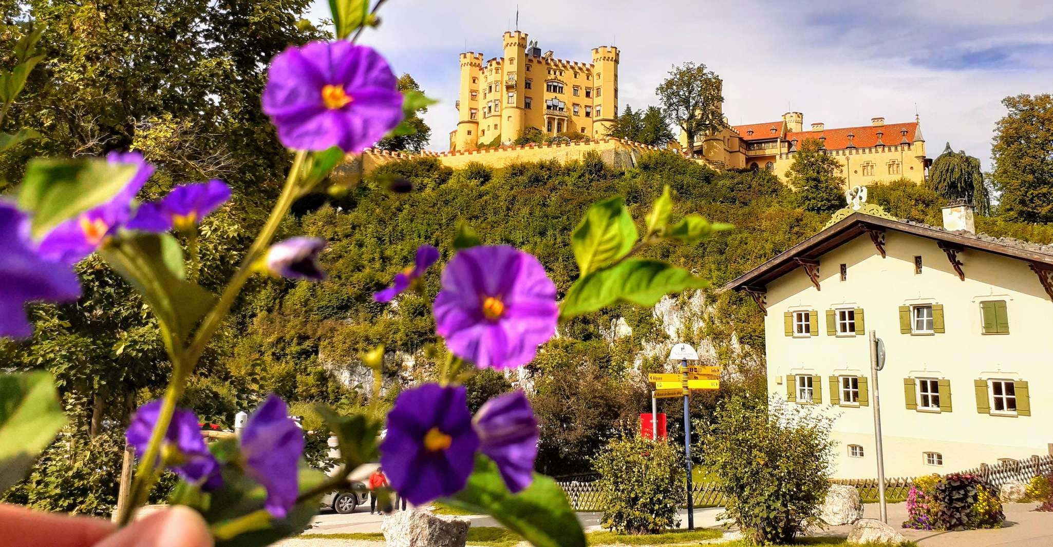 慕尼黑,纽施旺斯坦私人导游包 - Hizvo