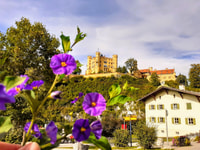 München, Neuschwanstein Private Guided Tour Packages - Hizvo