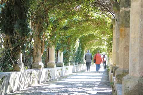 From Palma de Mallorca: Jardines de Alfabia Visit