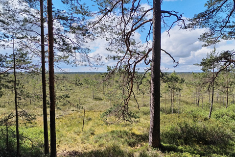 Bird Watching tour in Natural Park near Riga (Latvia)