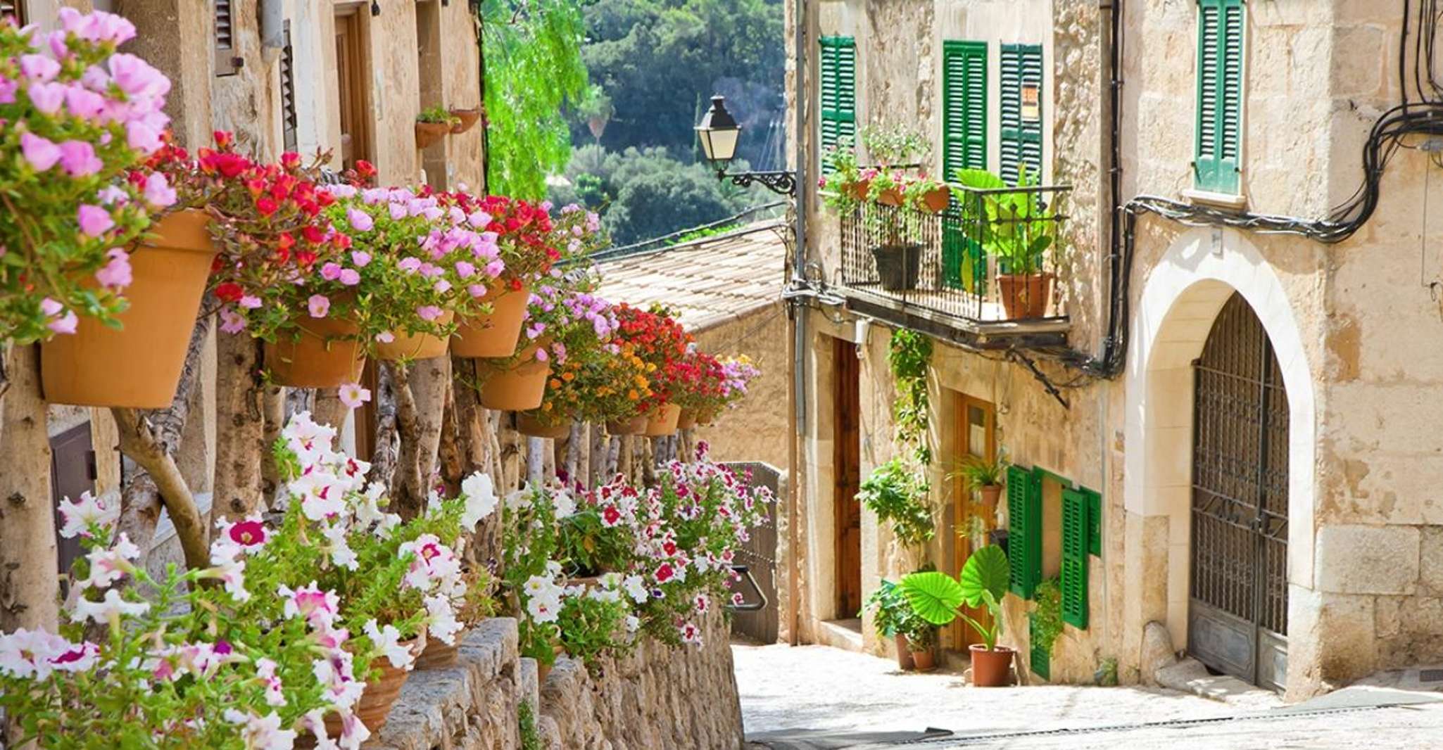 Valldemossa, Discover Valldemossa with a transfer from Palma - Housity
