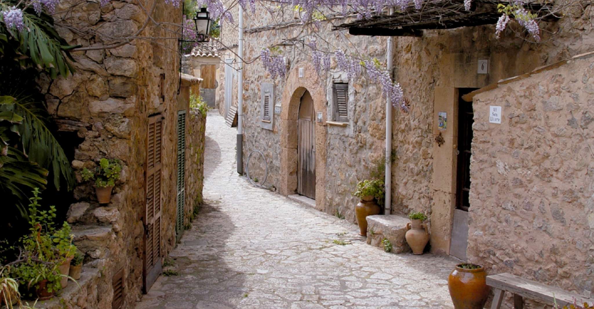 Valldemassa, découvrez Valldemossa avec pour transférer de Palma - Housity