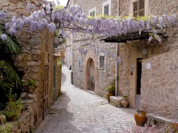 Valldemossa: Descubre Valldemossa con un traslado desde Palma
